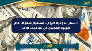 «سعر الدولار» اليوم.. استقرار ملحوظ أمام الجنيه المصري في تعاملات الأحد